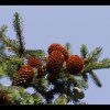 20150705_0005